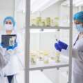 UTPL consolida su liderazgo en investigación según el ranking SCImago