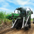 PLANIFICACIÓN, TECNOLOGÍA Y SOSTENIBILIDAD: ASÍ SE CULTIVA EL  AZÚCAR QUE LLEGA A MILLONES DE HOGARES ECUATORIANOS