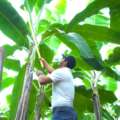 Innovación biológica y sostenibilidad marcan el futuro del agro en América Latina