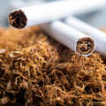 Día Mundial No Tabaco 2026: Protegiendo a las futuras generaciones y apoyando la cesación del tabaco