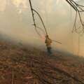 Más de 160 hectáreas en incendios
